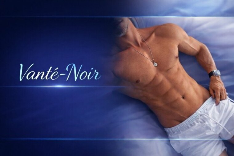 Vante-Noir cover image