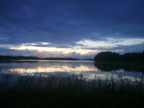 Vapaata lihaa cover image