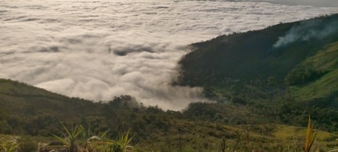 QueHay cover image