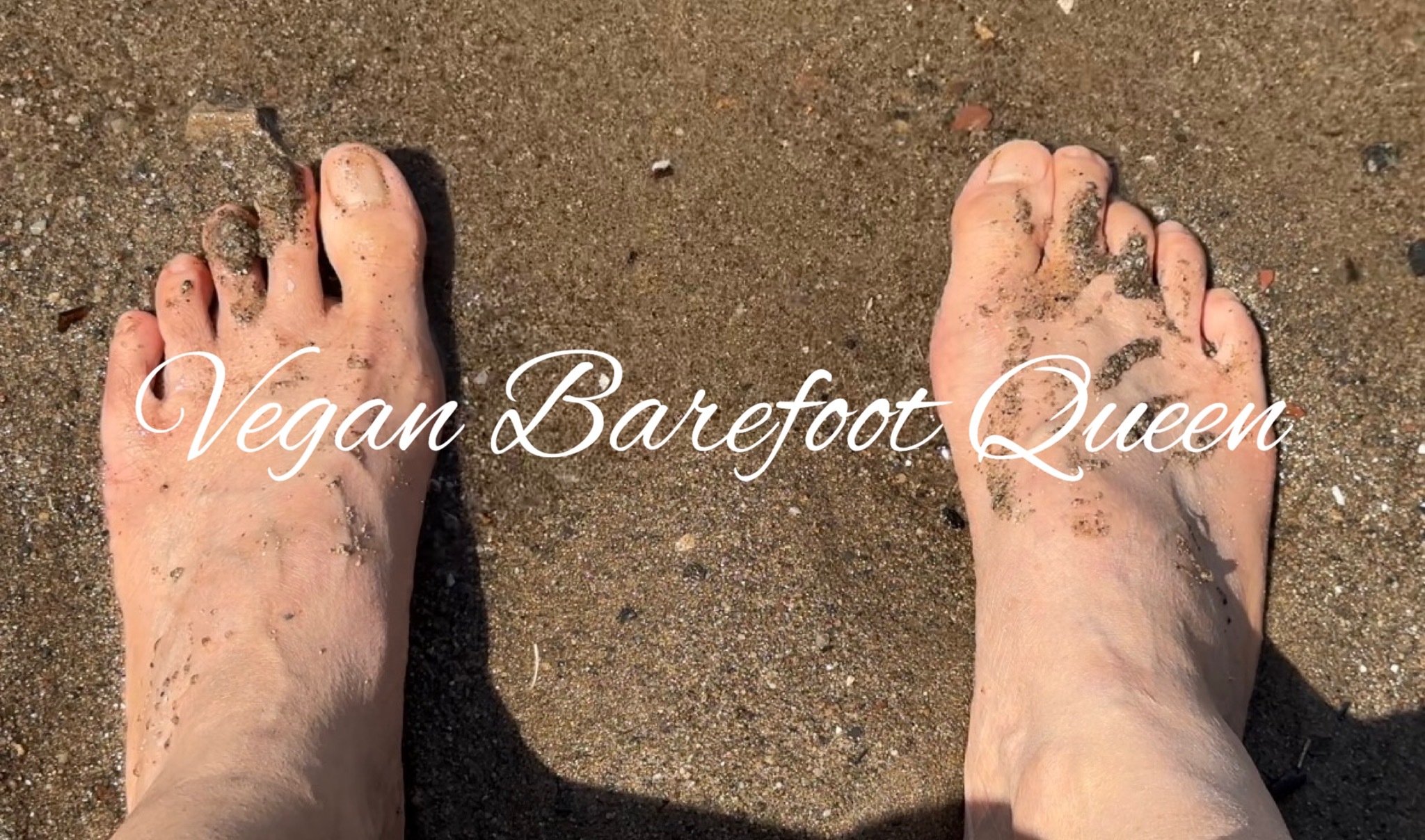 Vegan Barefoot Queen banner image