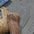 VeinyFeet Guy MX avatar