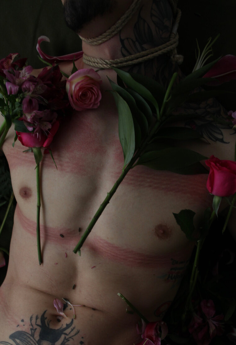 Vellx cover image