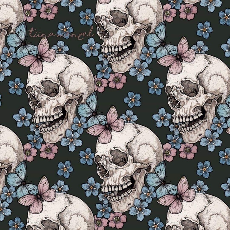 Lacie banner image