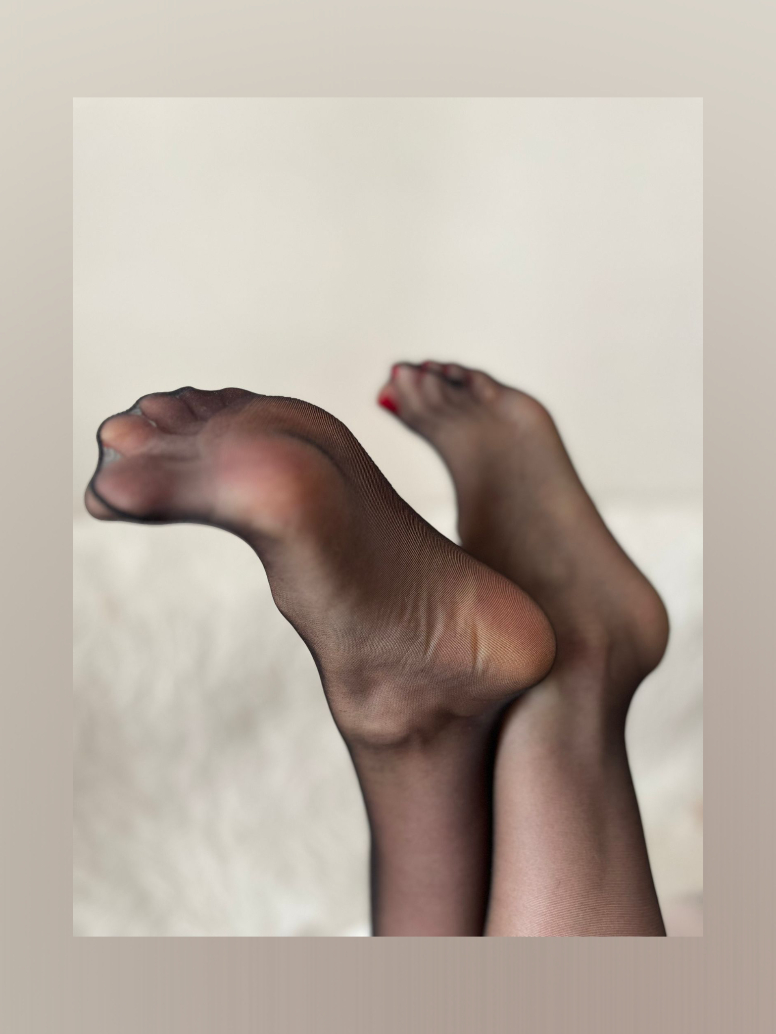 VelvetFeet_Bunny Free banner image