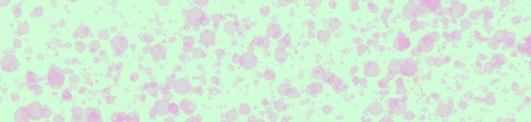Velvet cover image