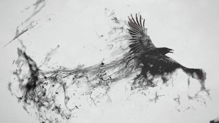 Velvet Raven banner image