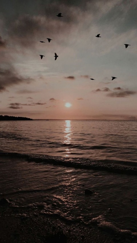 Venja cover image