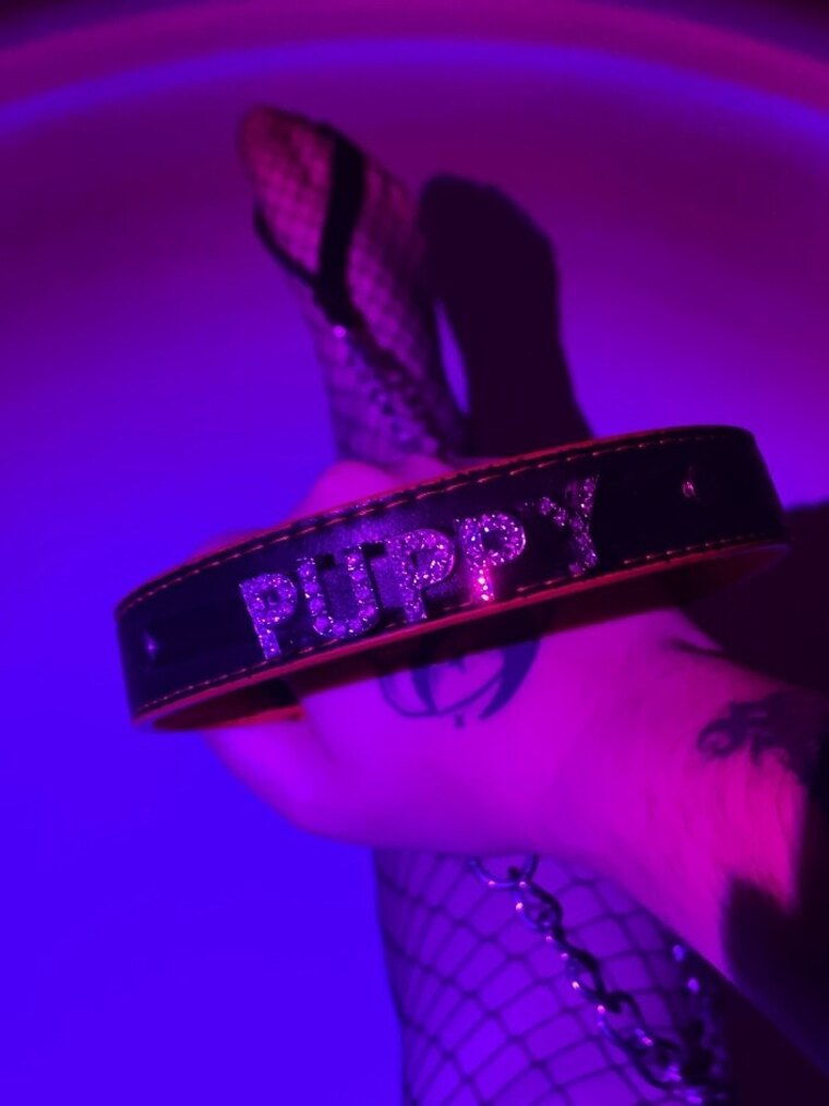 Venomous Amethyst 🌙 VIP cover image