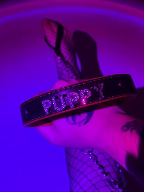 Venomous Amethyst 🌙 VIP cover image
