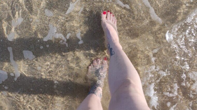 Venturetoes cover image
