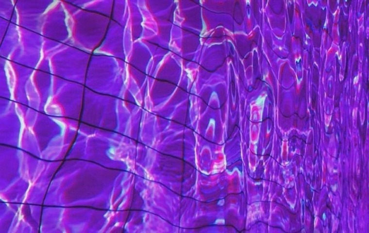 Vênus Calista cover image