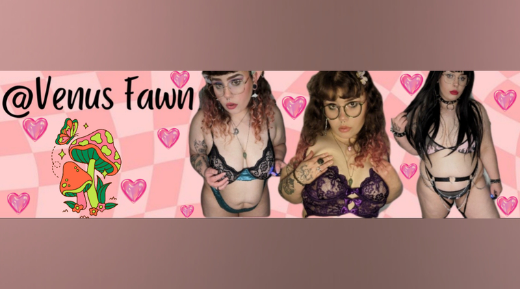 Venus fawn cover image