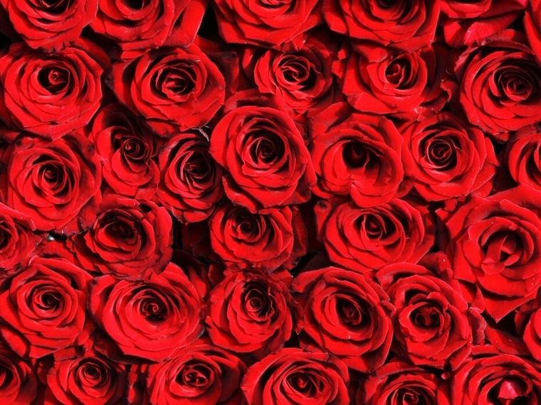 Miel banner image