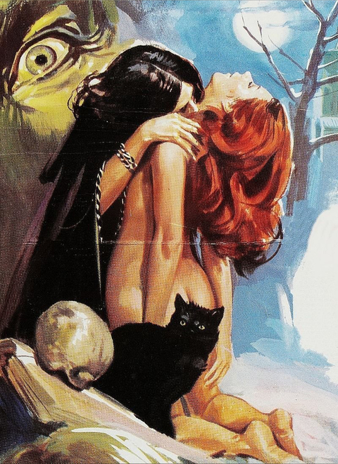 VenusKat cover image