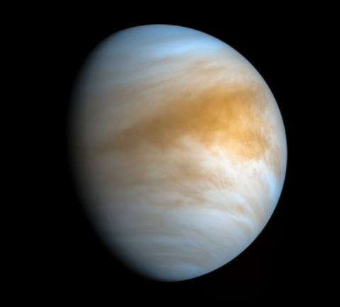 Venus Lay🤍 cover image