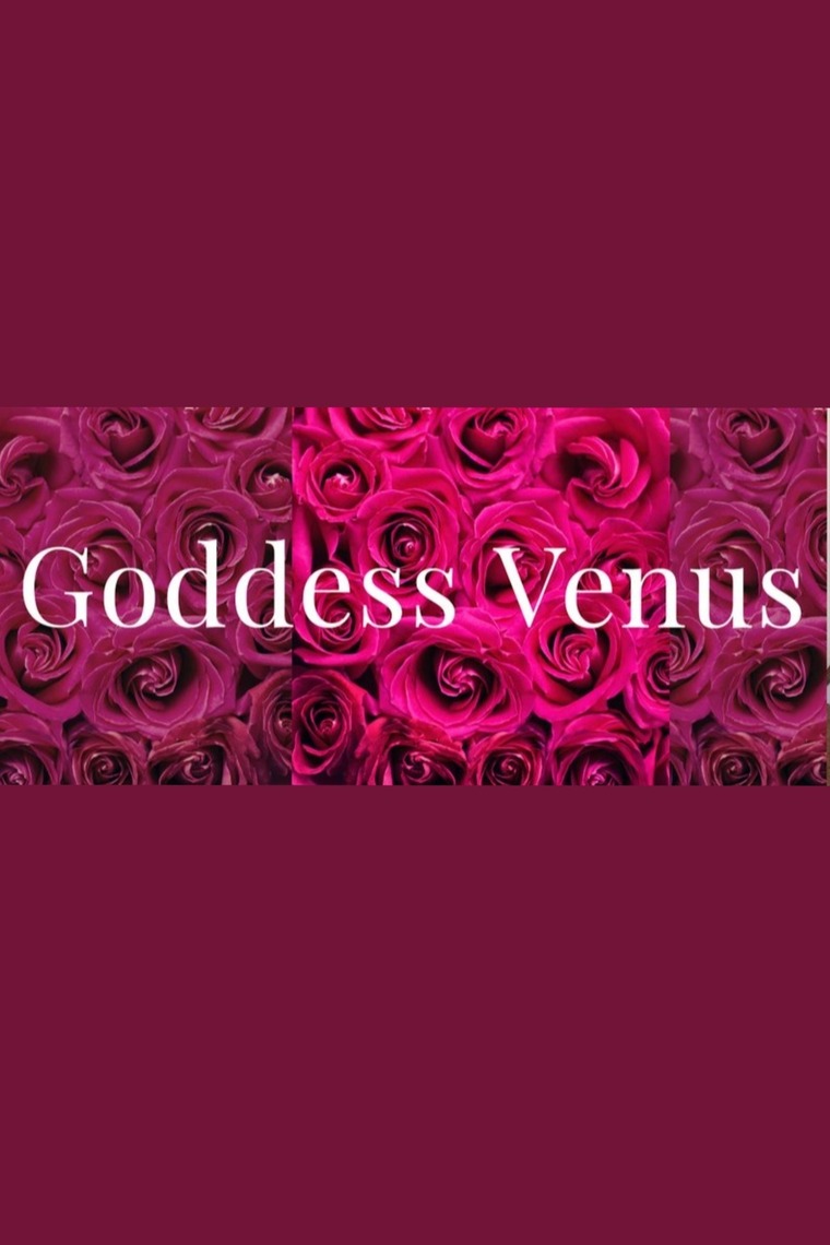 Venus🦋 banner image