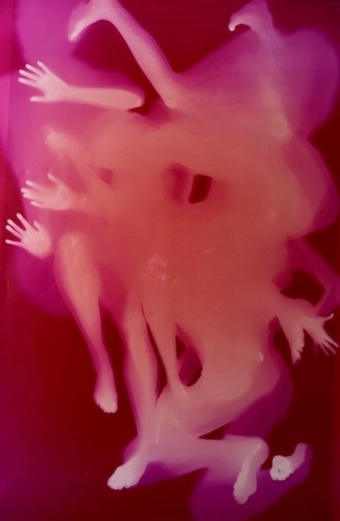 Venus cover image