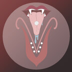 Venus Veil Studios avatar