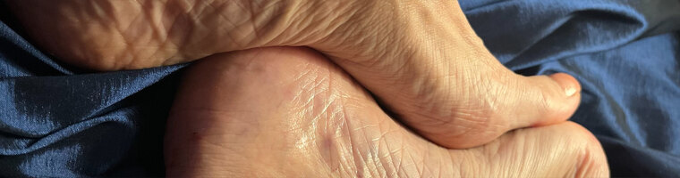 Venus Veins banner image