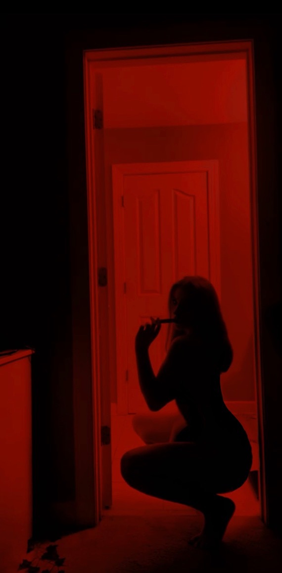 venusx18 banner image