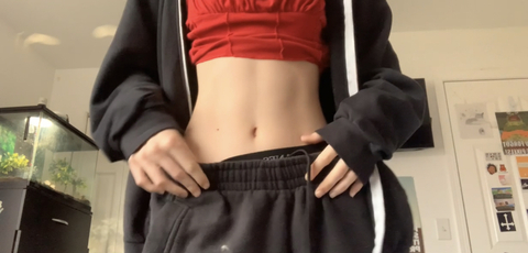Bunny cover image
