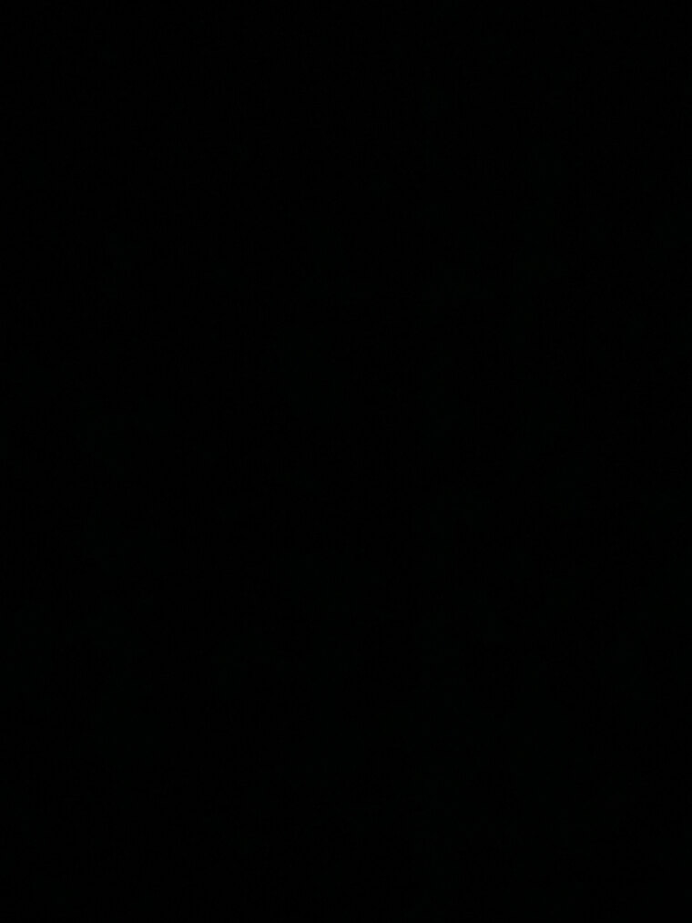 Ollie banner image