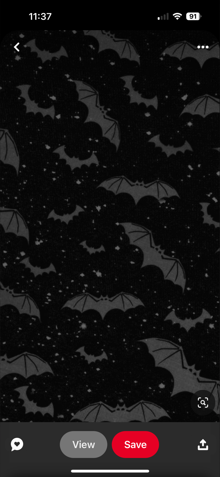 Vermillion Fang🦇 cover image