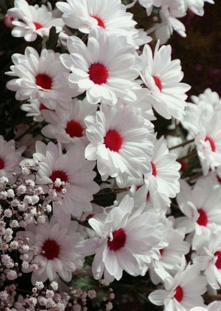 Verónica Reyes Juares cover image