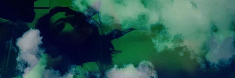 VeronicaLovage cover image