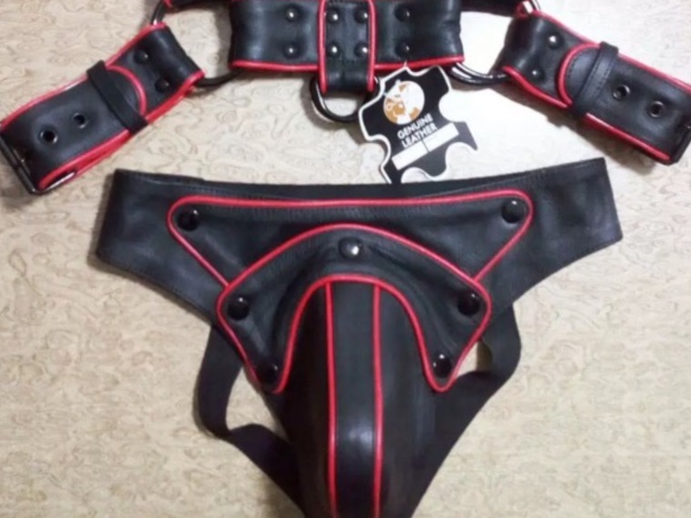 VersBlkLeatherBear cover image