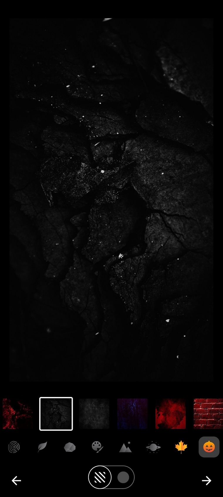 VersesInBody cover image