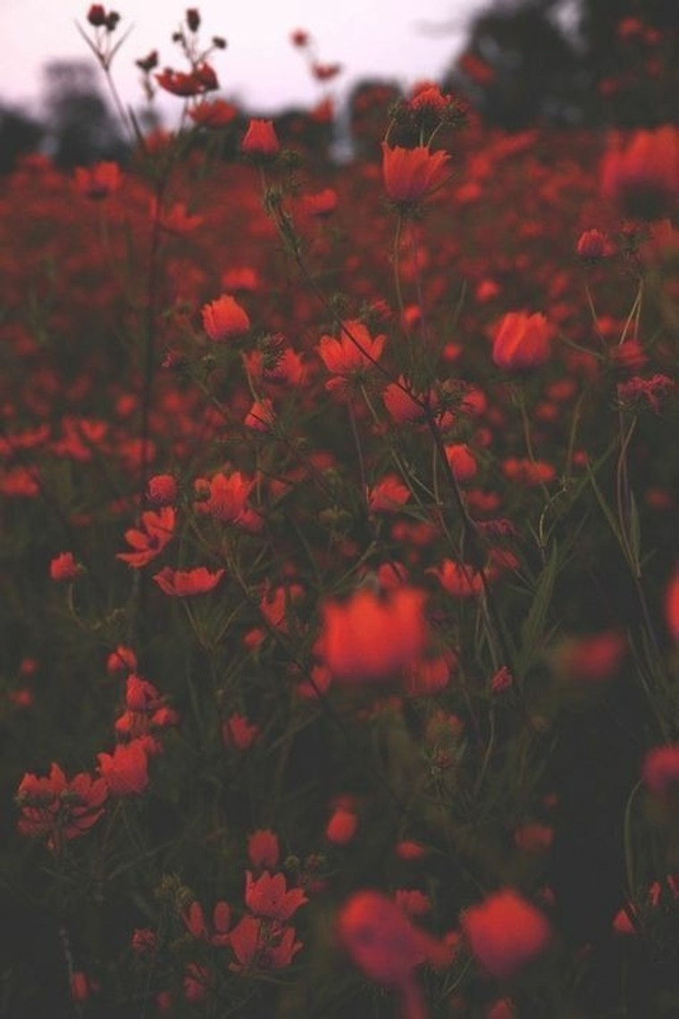 Victoria Green cover image