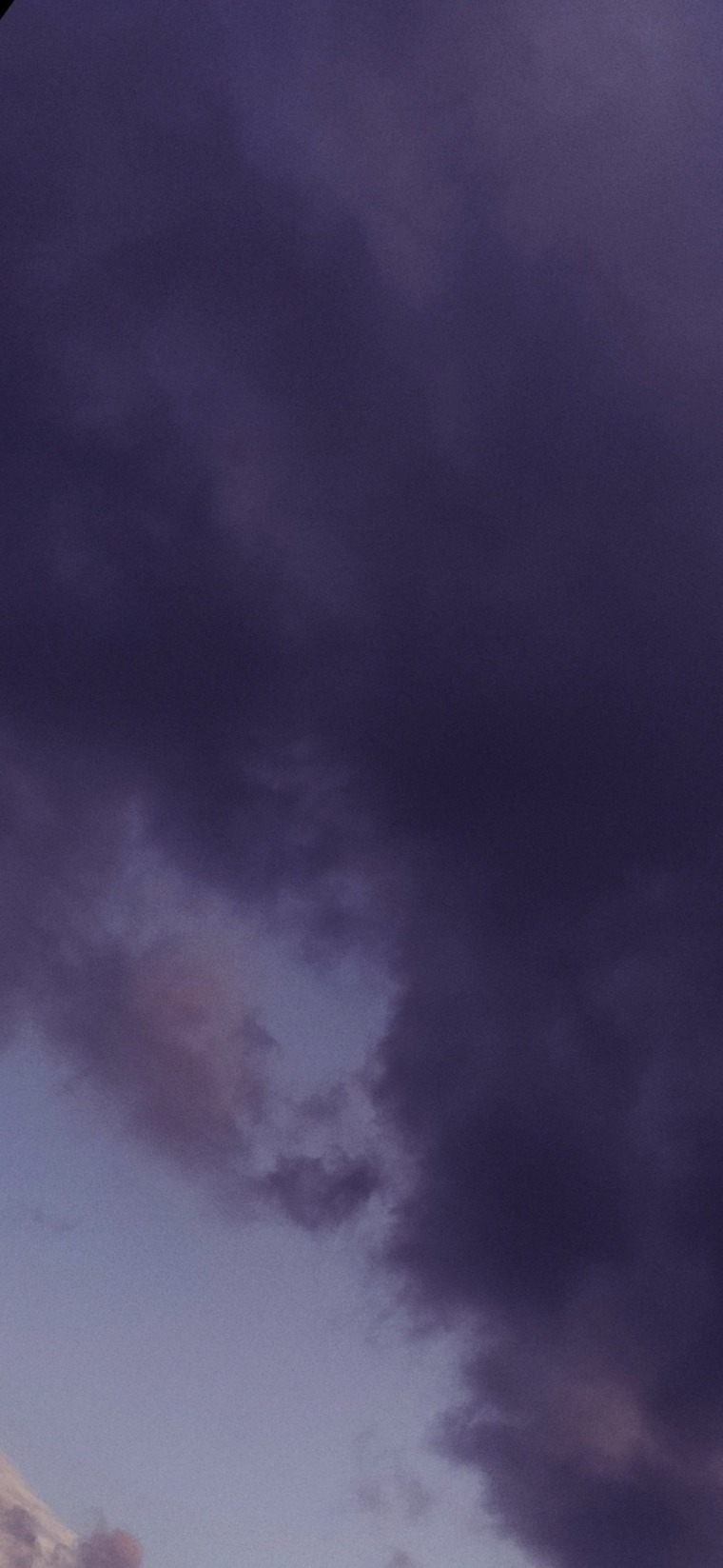 Anna Victoria banner image
