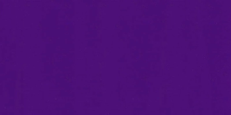 Iliana Hejazi banner image