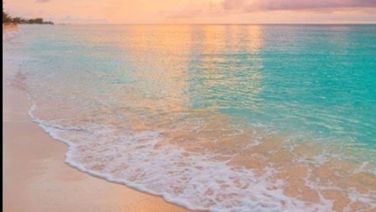 Vienn CC banner image