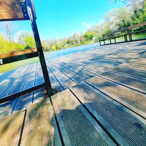 Manuel cover image