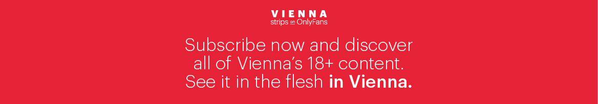 Vienna banner image