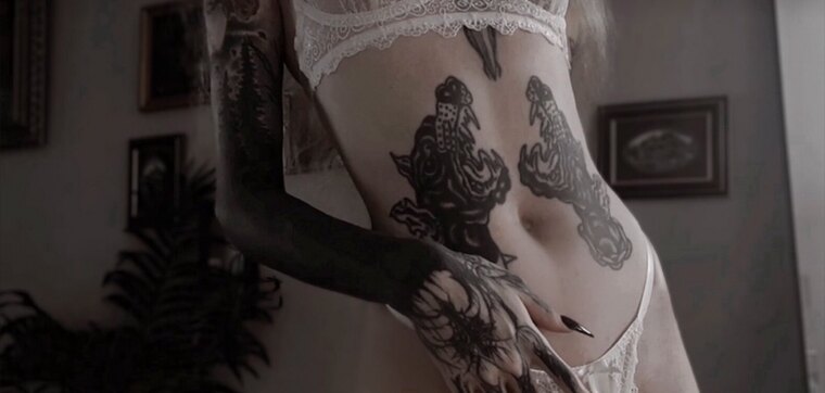 Vixia cover image