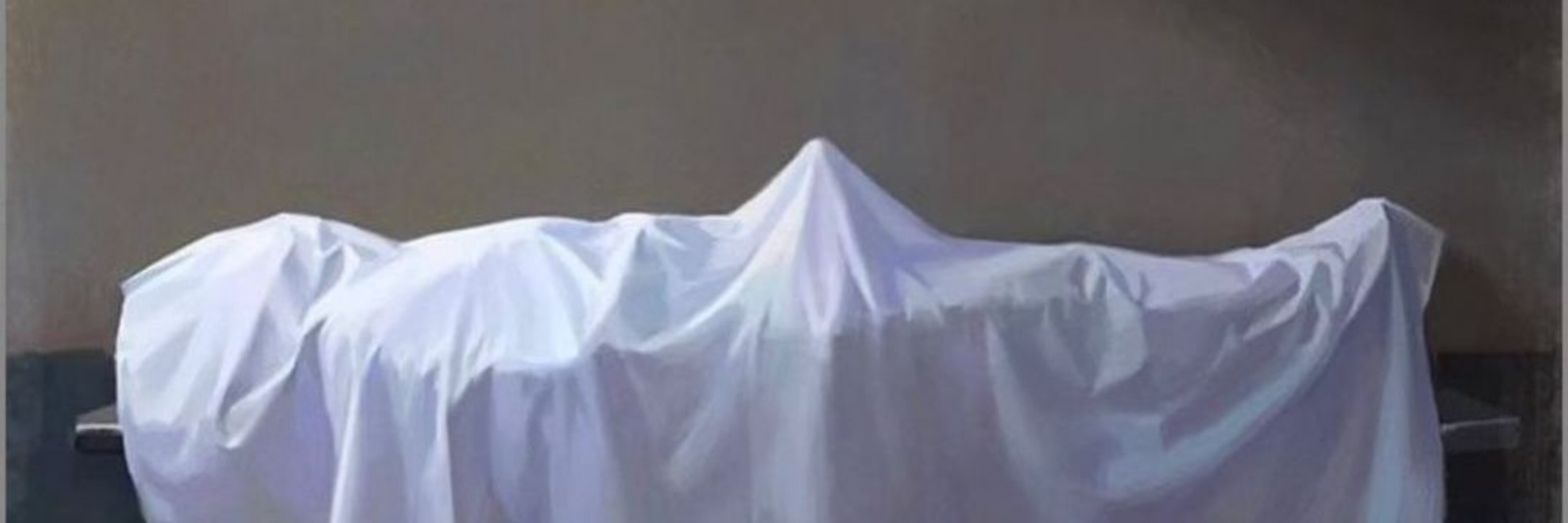 VikingDeviant banner image