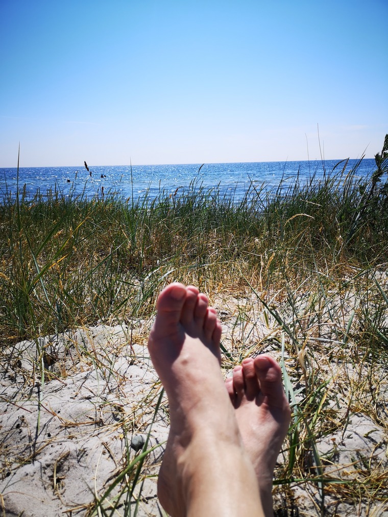 vikingfeetelicious banner image