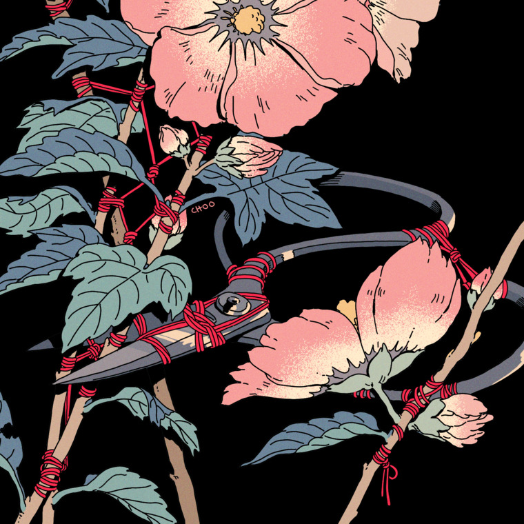 Cambria cover image