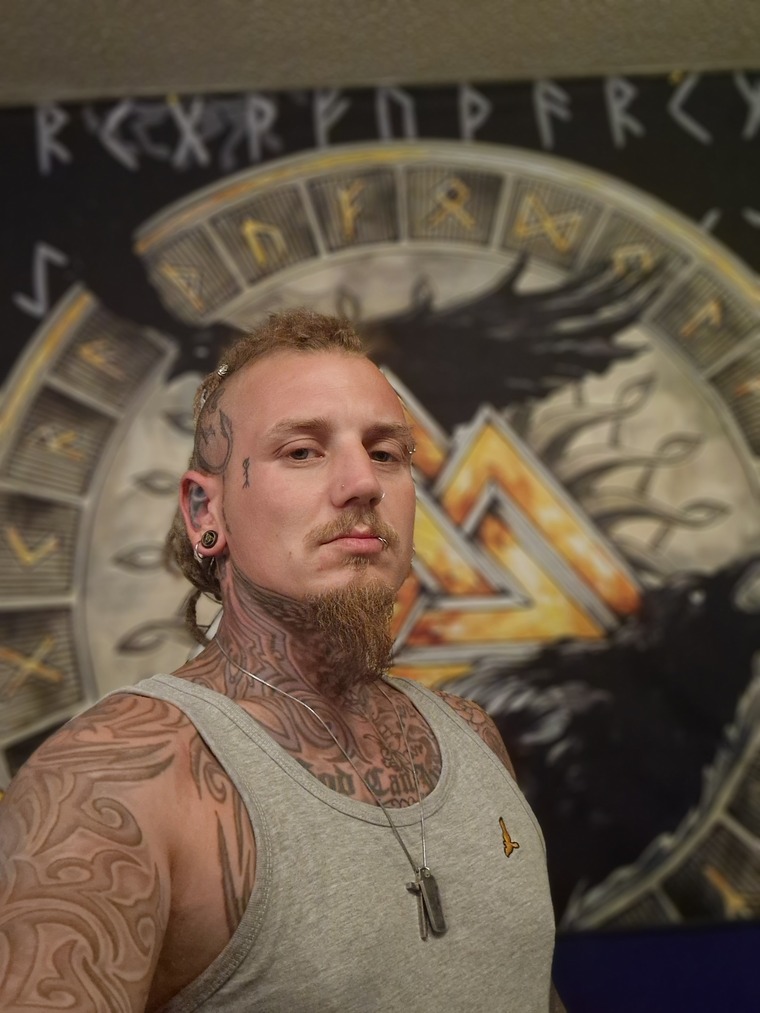 VikingInked cover image