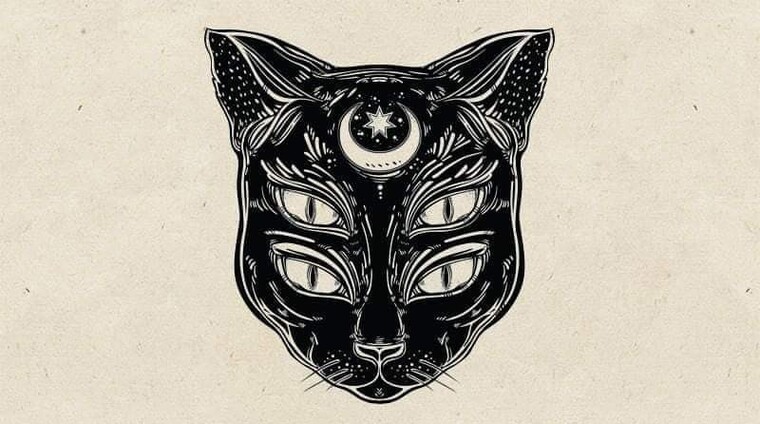 Xeni cover image