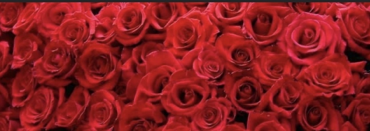 VinceJp420 banner image