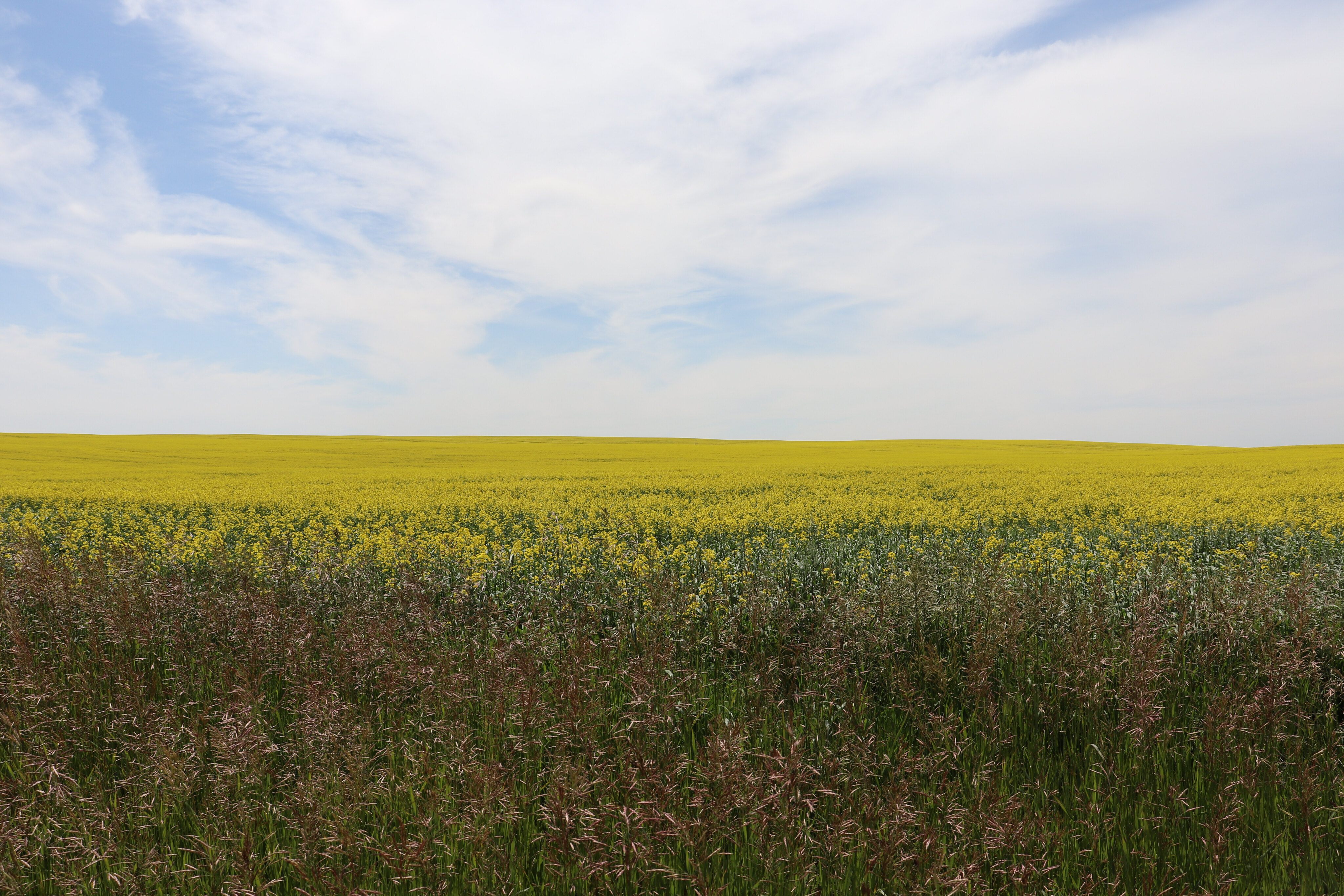Vince Lane banner image