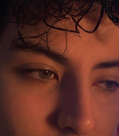 vini cover image