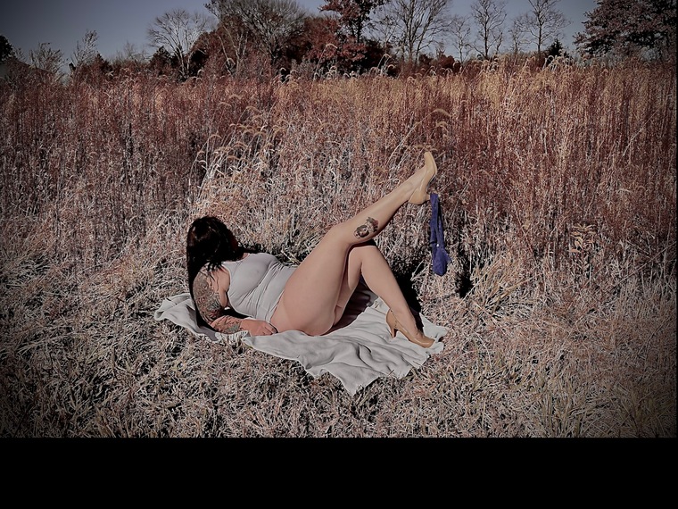 Danielle Shay cover image