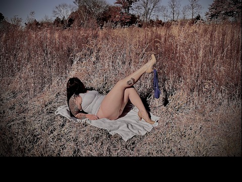 Danielle Shay cover image