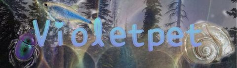 V cover image