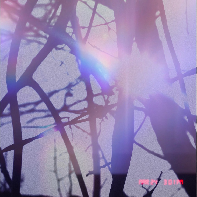 violetbunnybat cover image